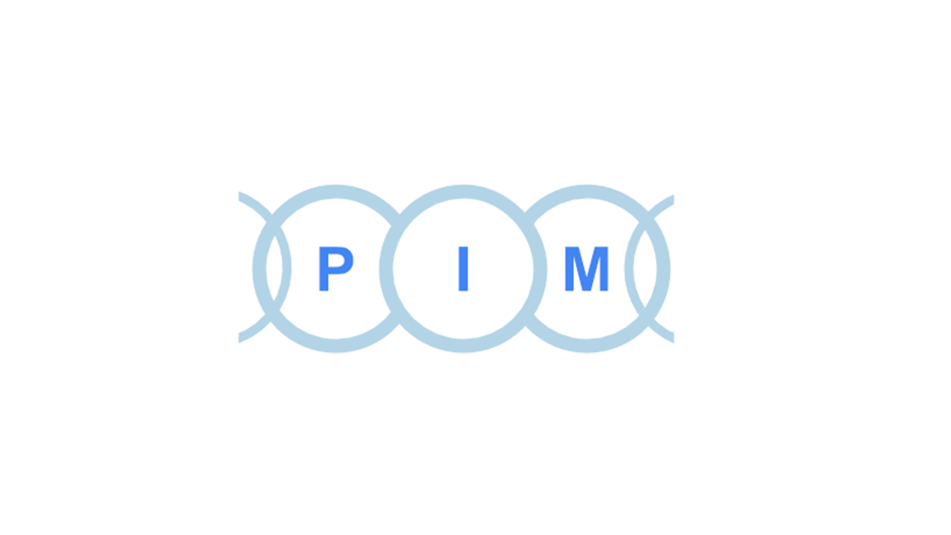 Logo des Projektes PIM-2-02.
